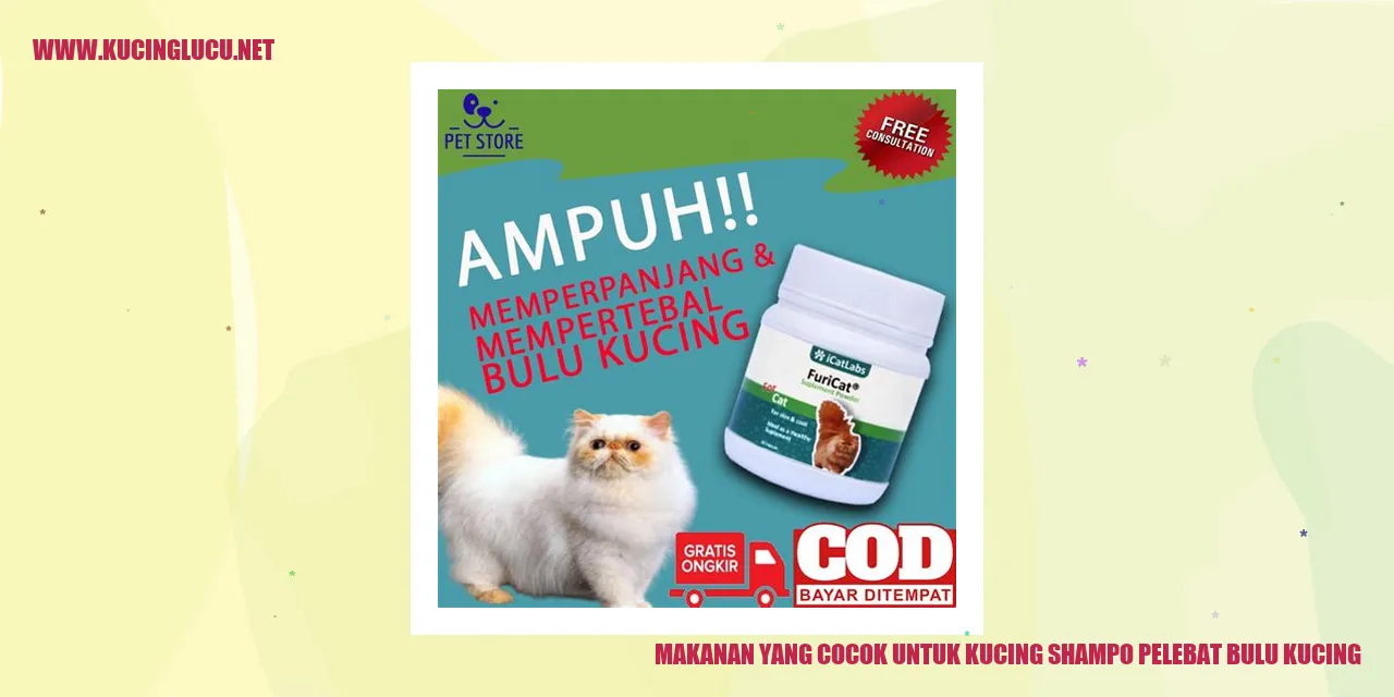 Gambar Kucing dengan Bulu Lebat