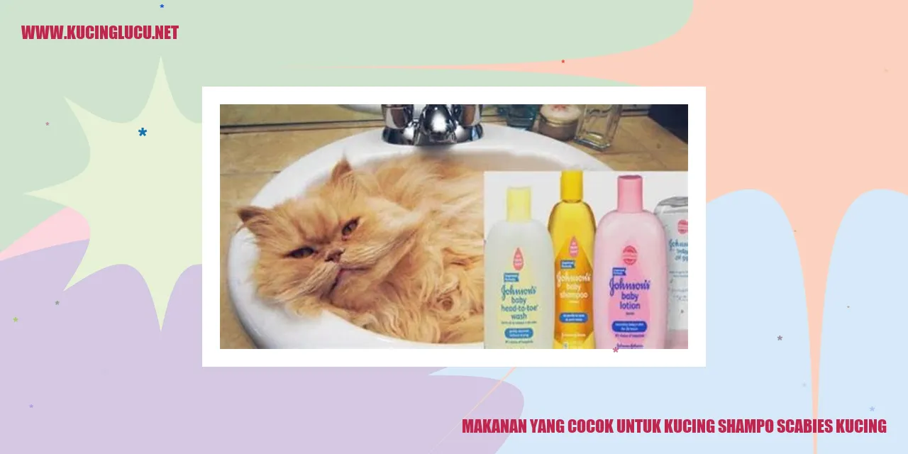 Makanan yang Cocok untuk Kucing shampo scabies kucing