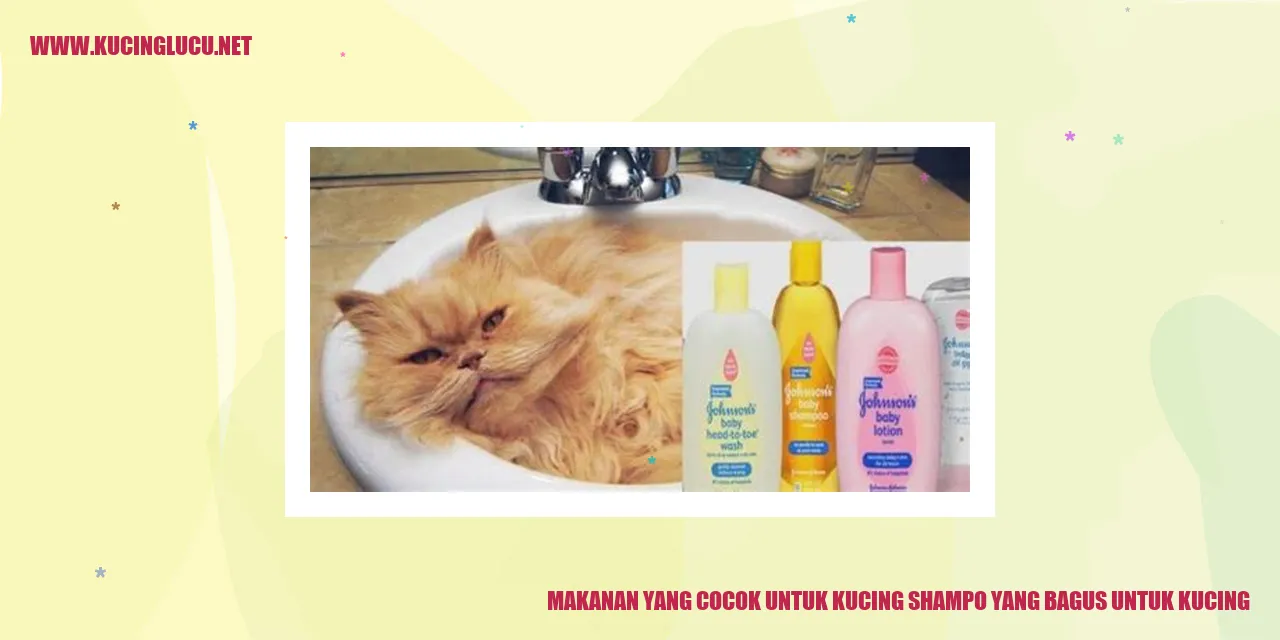 Makanan untuk Kucing