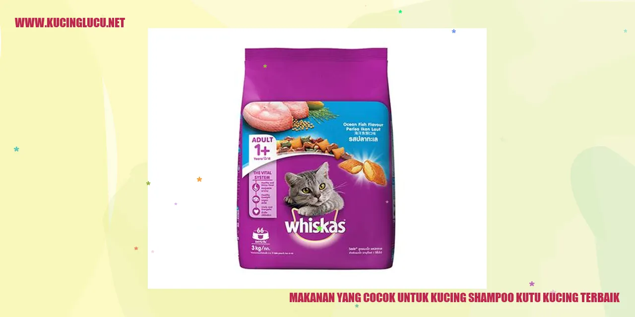 Gambar Makanan untuk Kucing