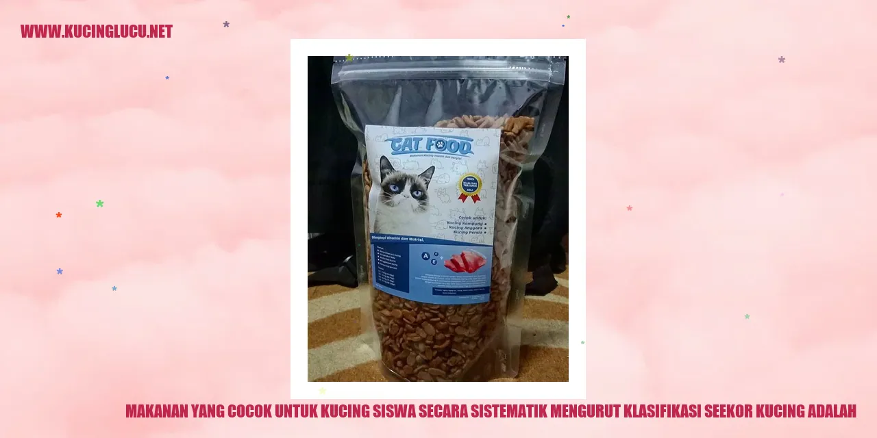 Makanan yang Cocok untuk Kucing siswa
