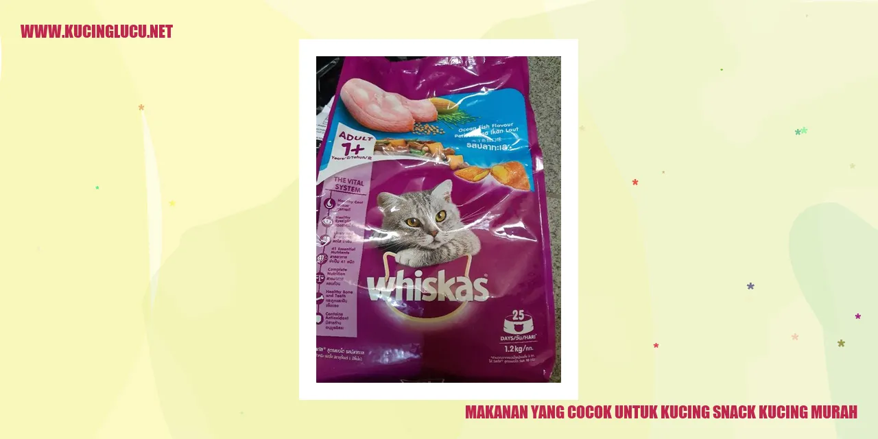 gambar makanan kucing