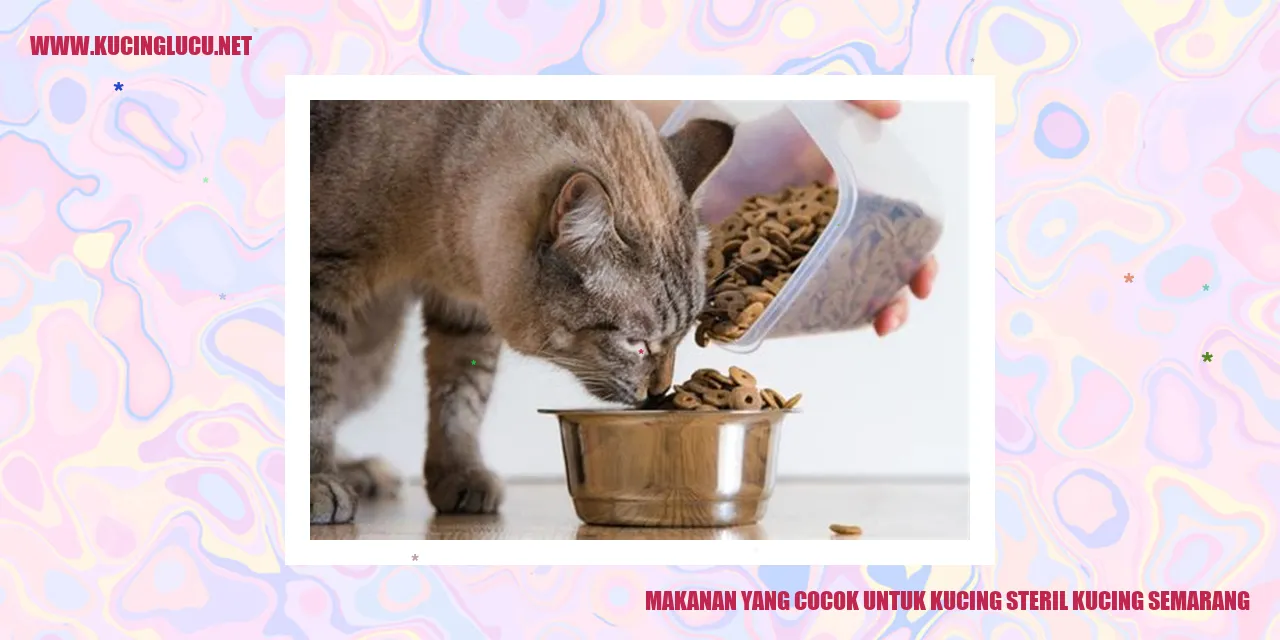 Makanan untuk Kucing steril