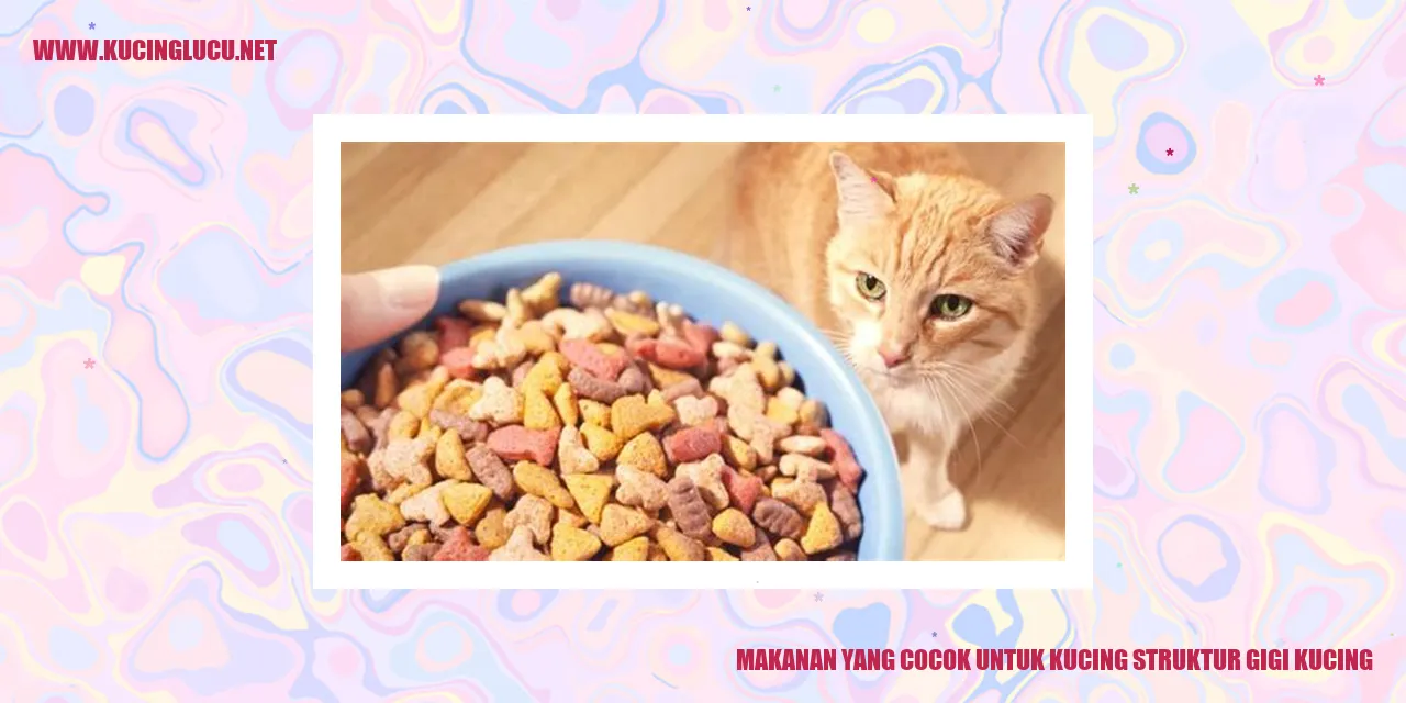 Makanan yang Sesuai untuk Kucing dan Anatomi Gigi Mereka