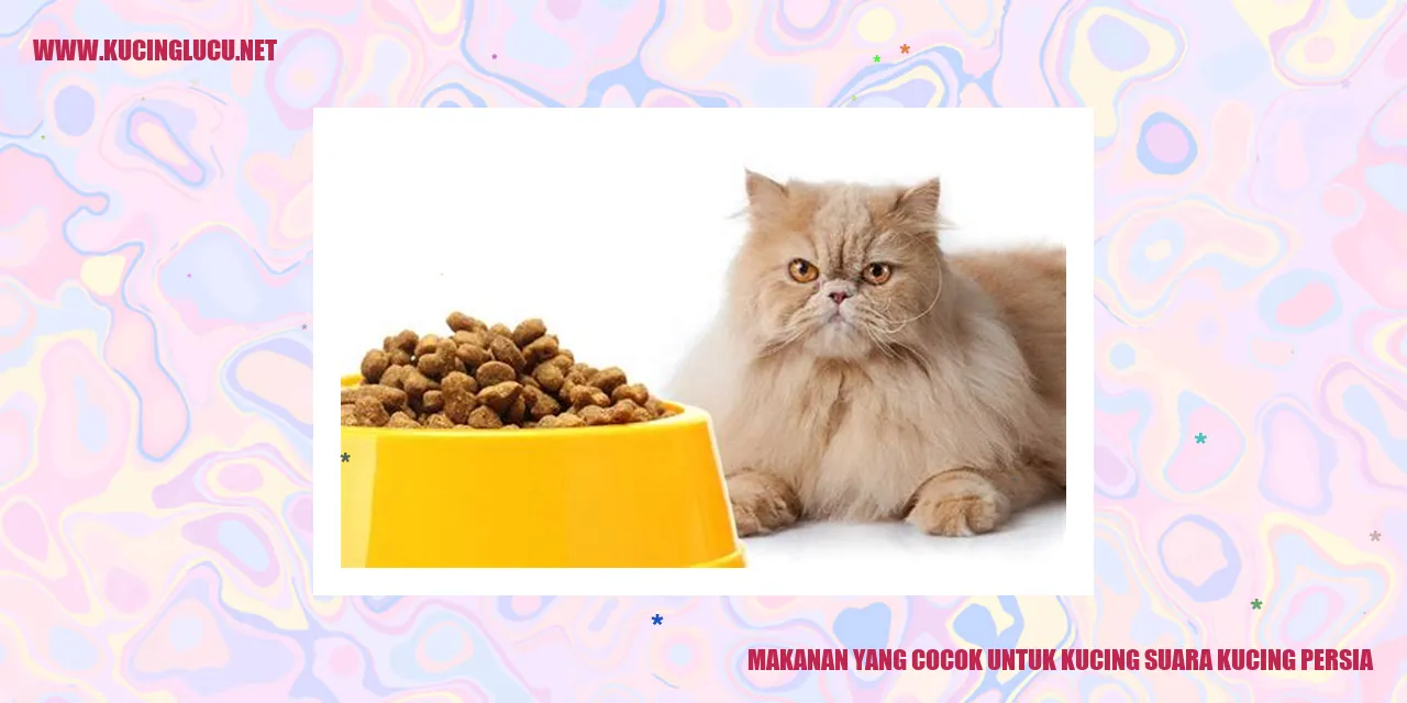Makanan yang Cocok untuk Kucing suara kucing persia