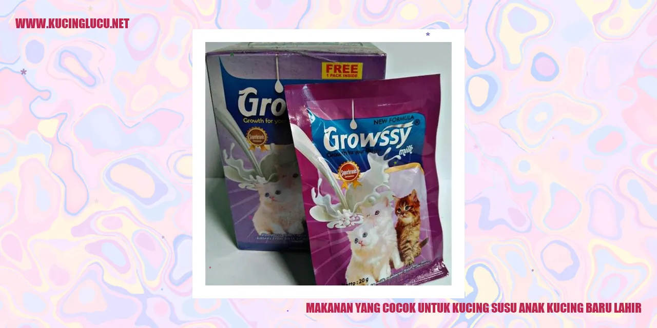 gambar kucing