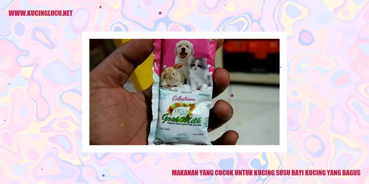 gambar makanan kucing