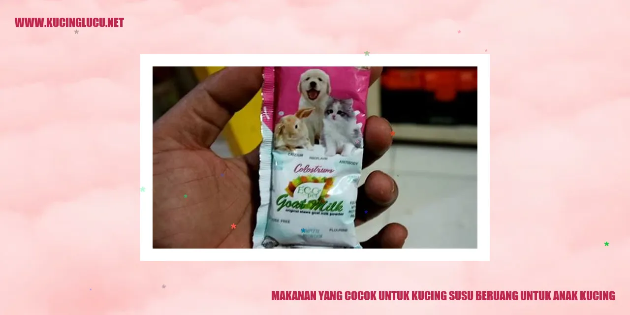 Gambar Kucing Susu Beruang