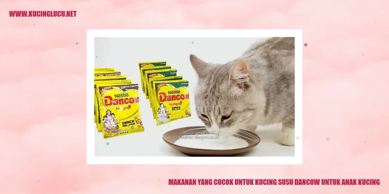 Makanan yang Cocok untuk Kucing Susu Dancow untuk Anak Kucing