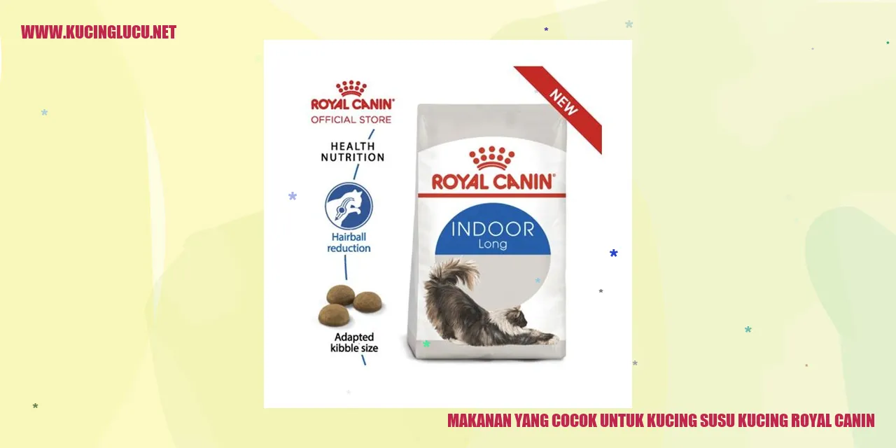 Makanan yang Cocok untuk Kucing