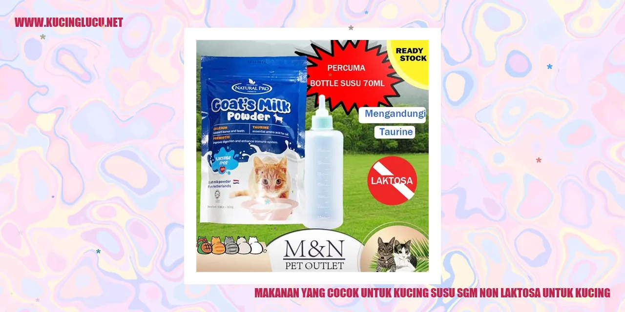 Gambar Kucing