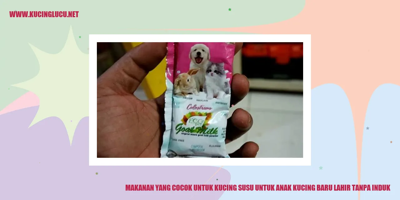 gambar kucing