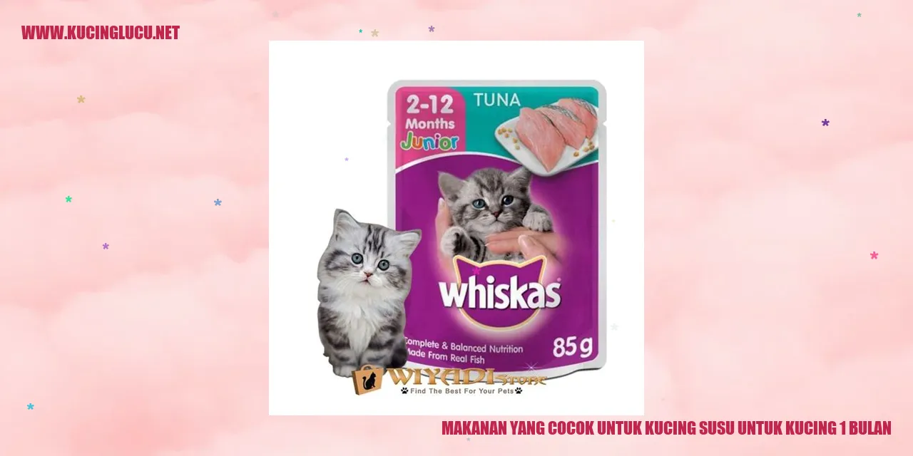 Gambar Kucing Anak