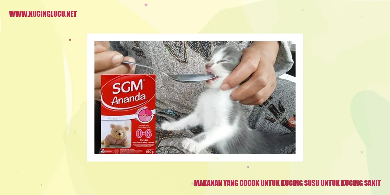Makanan Kucing