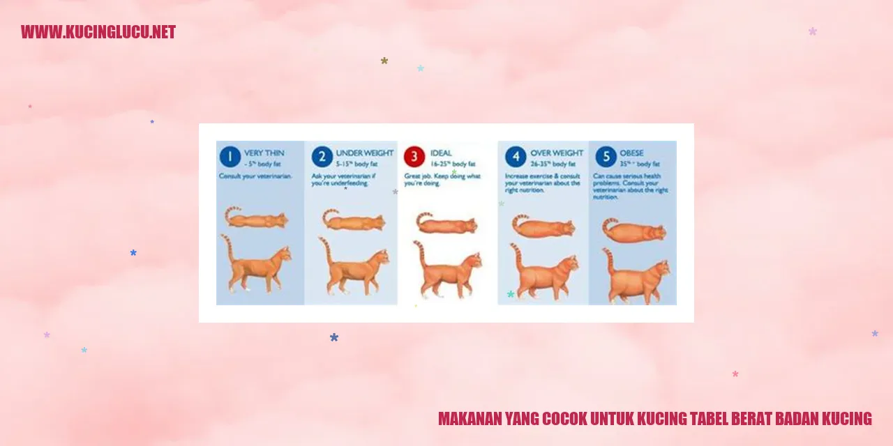 Kucing sedang makan