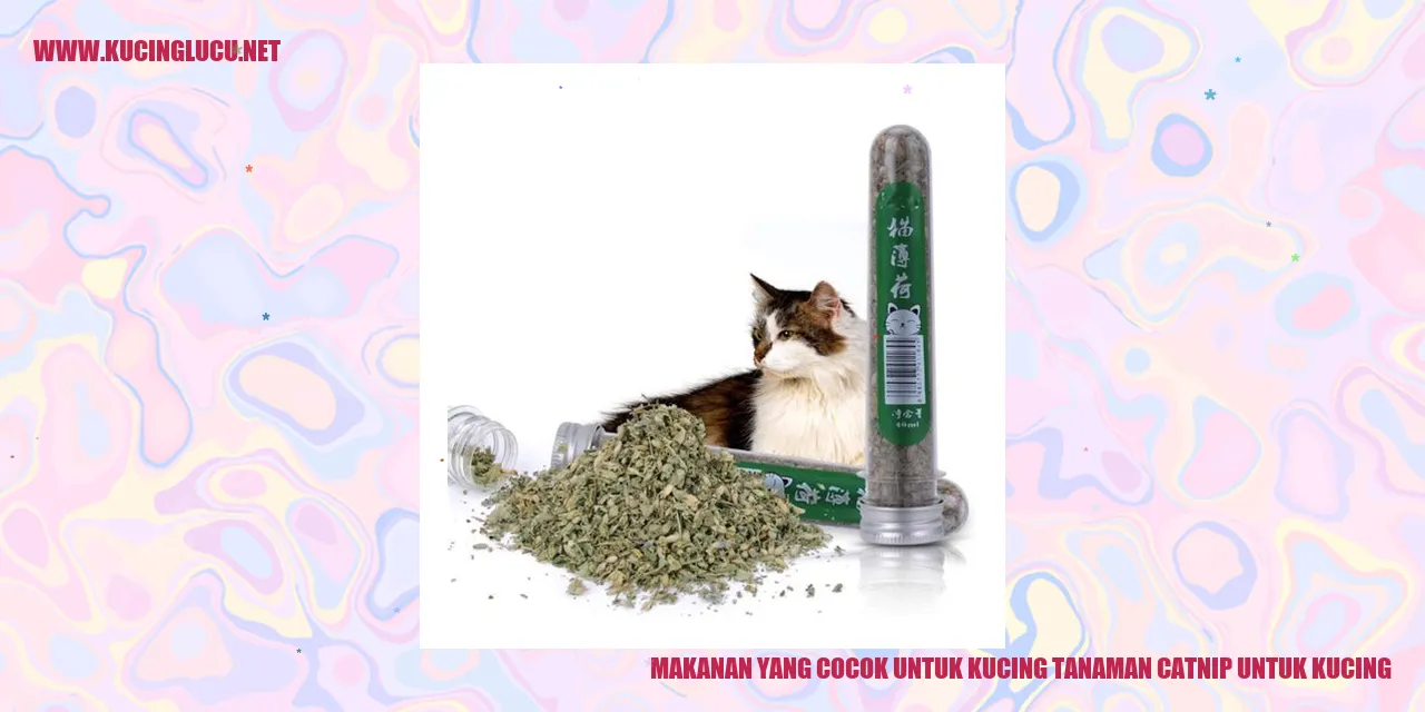 Gambar Kucing