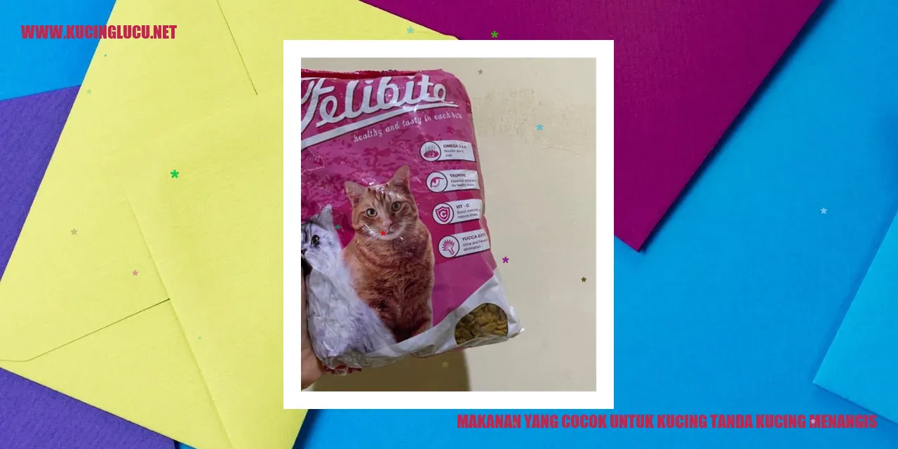 Makanan yang Cocok untuk Kucing