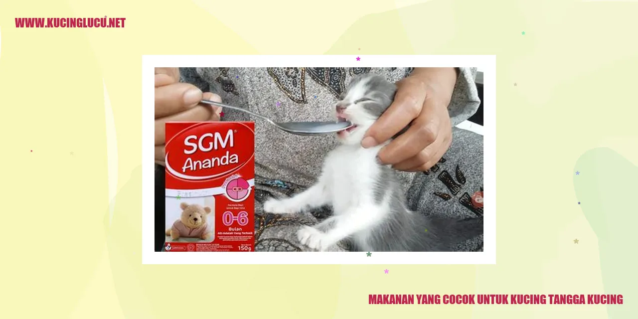 Makanan yang Cocok untuk Kucing tangga kucing