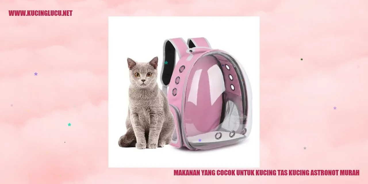 Makanan yang Cocok untuk Kucing tas kucing astronot murah