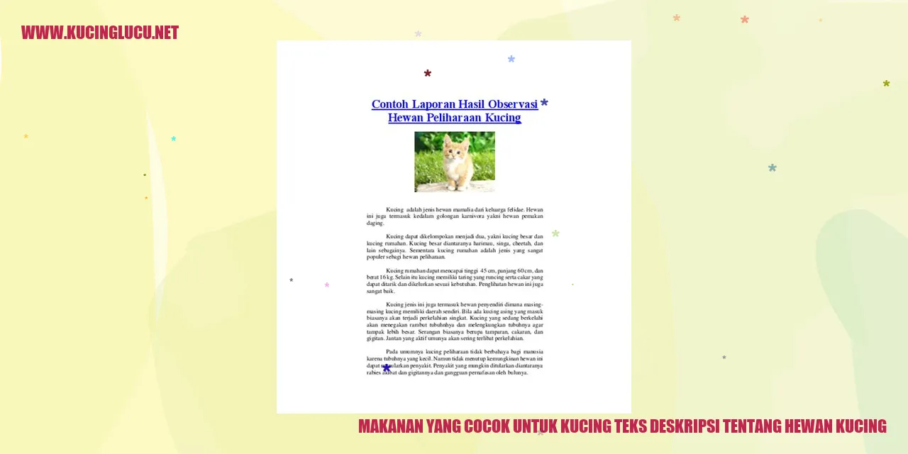 Tentang Kucing