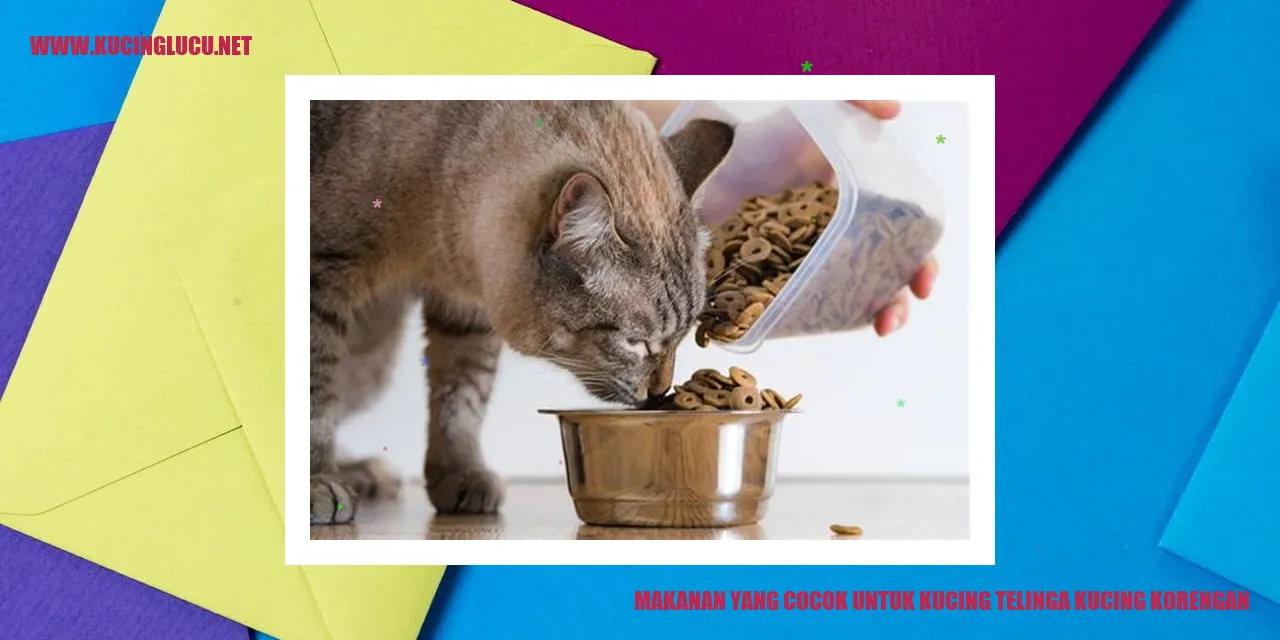 Makanan yang Cocok untuk Kucing Telinga Kucing Korengan