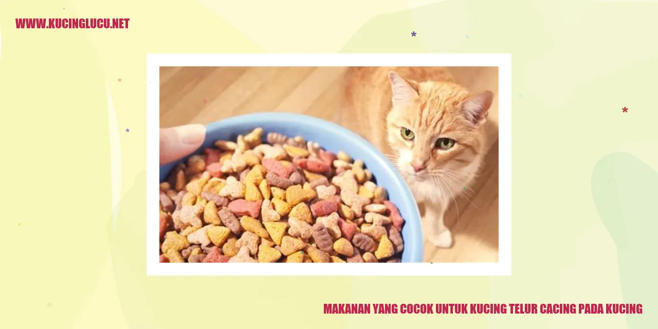 Makanan yang Cocok untuk Kucing telur cacing pada kucing