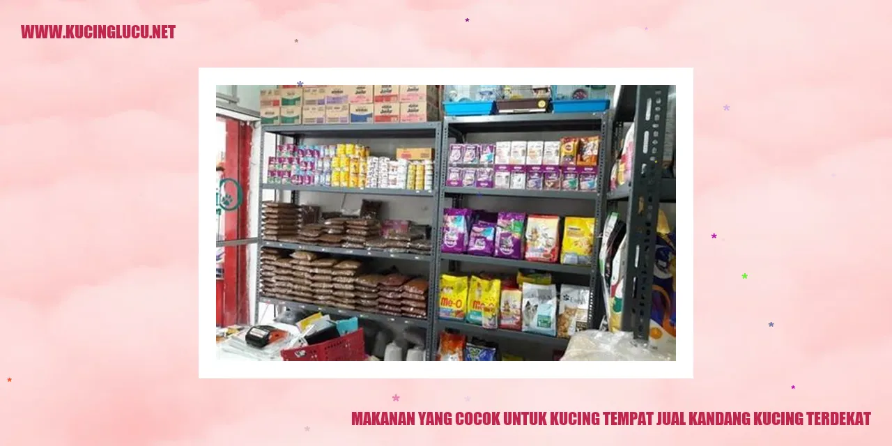 Makanan yang Cocok untuk Kucing dan Tempat Jual Kandang Kucing Terdekat