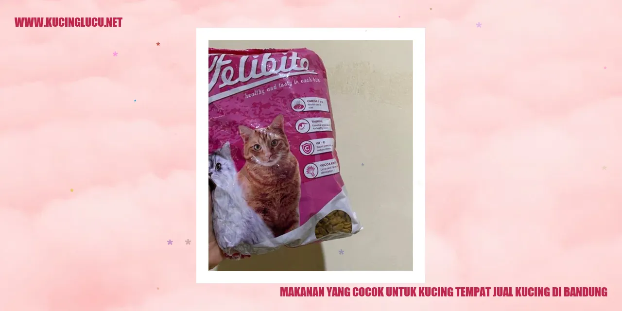 Makanan Kucing