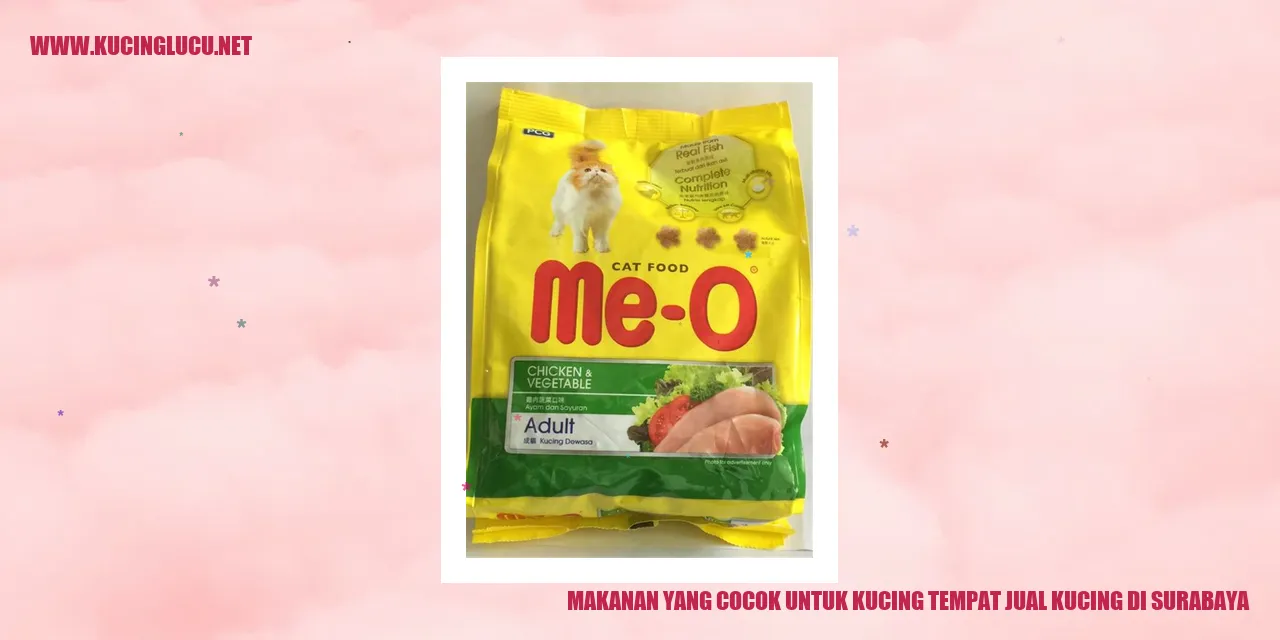 Kucing Makanan Surabaya