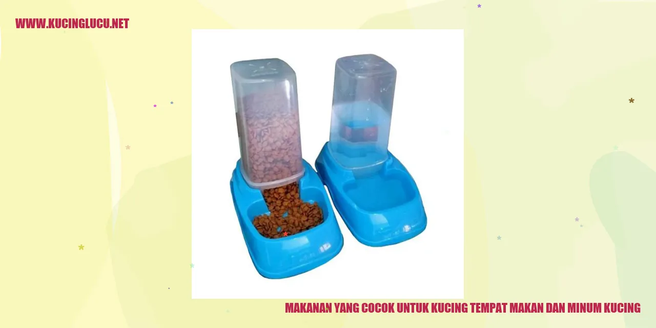Makanan yang Cocok untuk Kucing