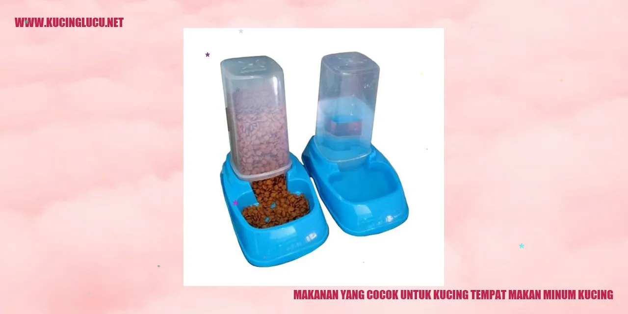 Makanan Kucing