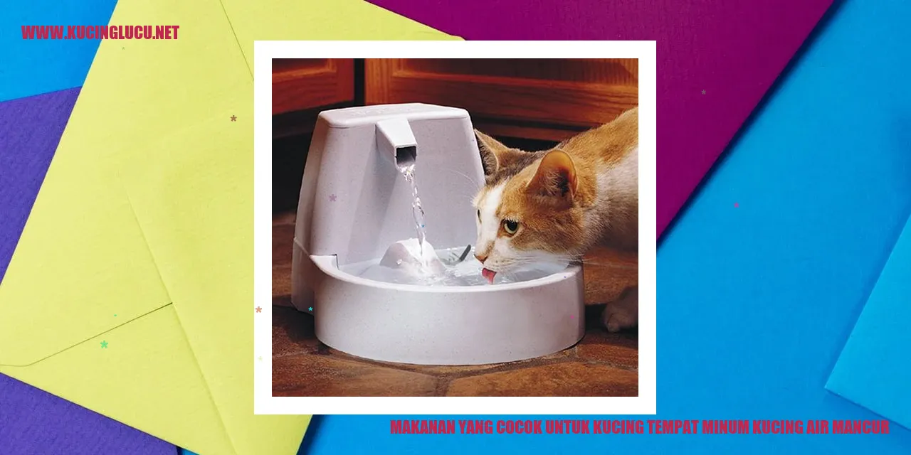 gambar kucing makanan dan air mancur