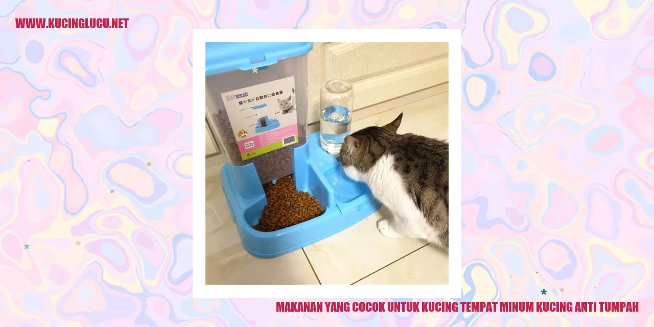 Gizi untuk kucing