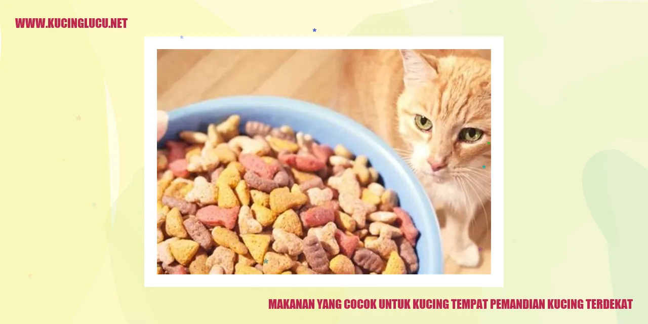 Makanan untuk Kucing