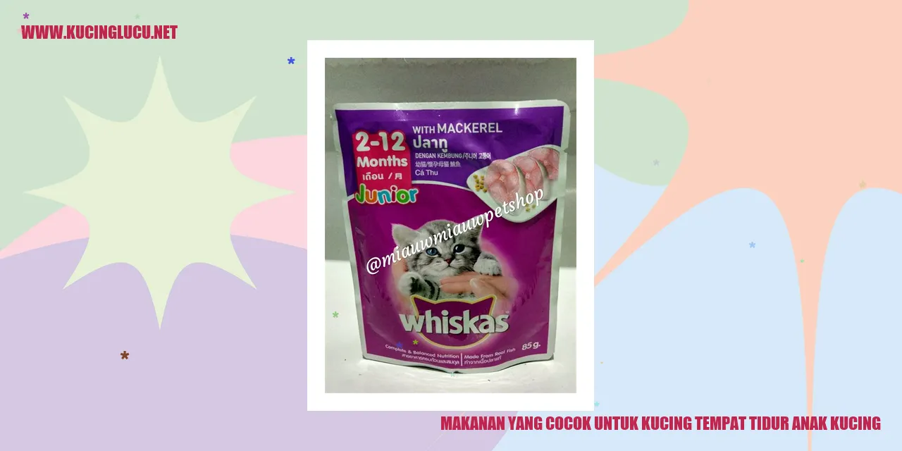 Makanan yang Cocok untuk Kucing Tidur di Tempat Tidur Anak Kucing