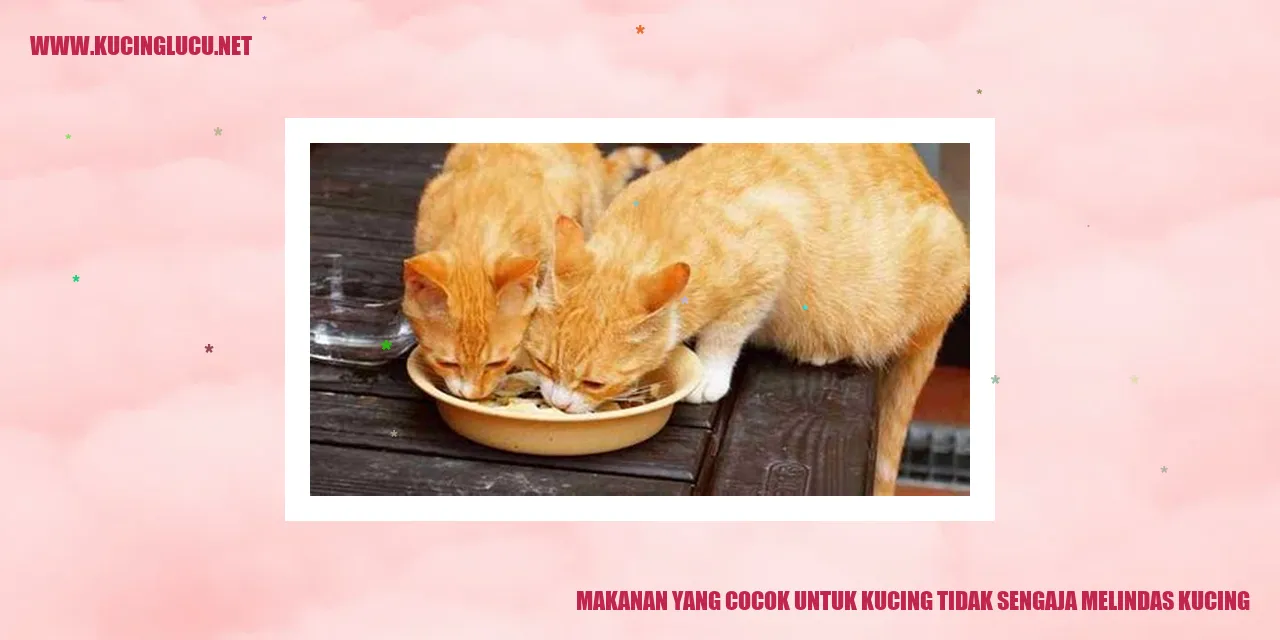 Makanan untuk Kucing yang sesuai