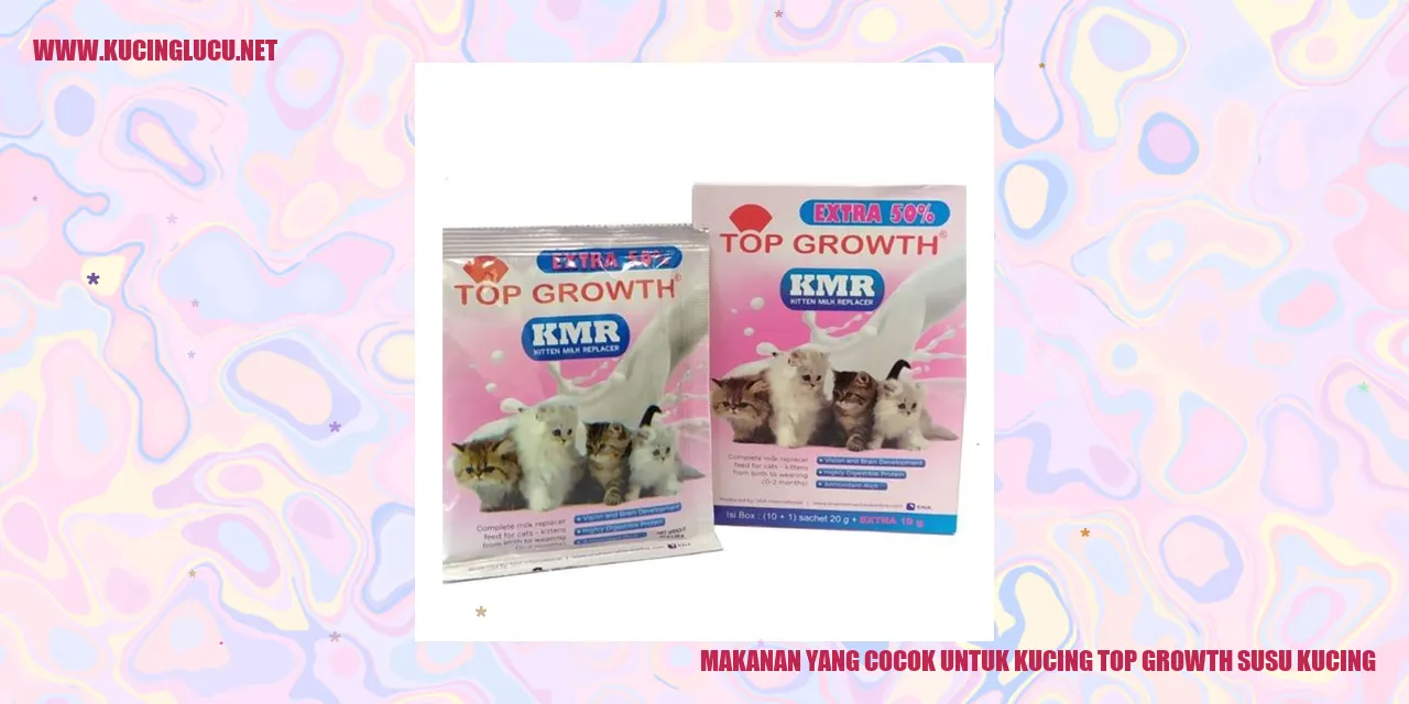 Gambar Kucing