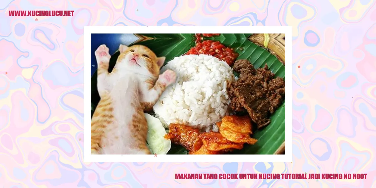 Makanan yang Cocok untuk Kucing tutorial jadi kucing no root