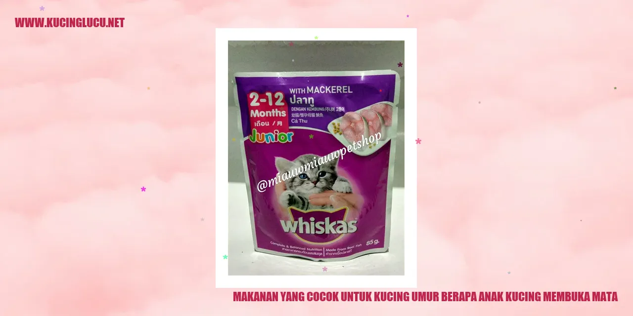 Makanan yang Sesuai untuk Kucing Ketika Anak Kucing Mengembangkan Penglihatan