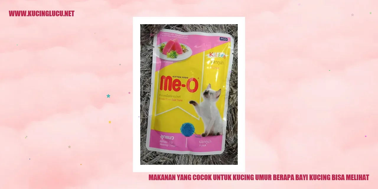 Kucing Lucu