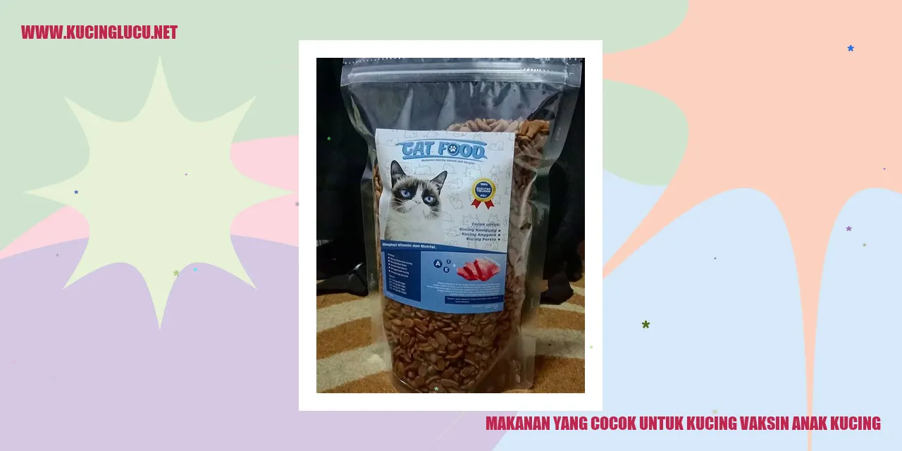 Makanan yang Cocok untuk Kucing Vaksin Anak Kucing