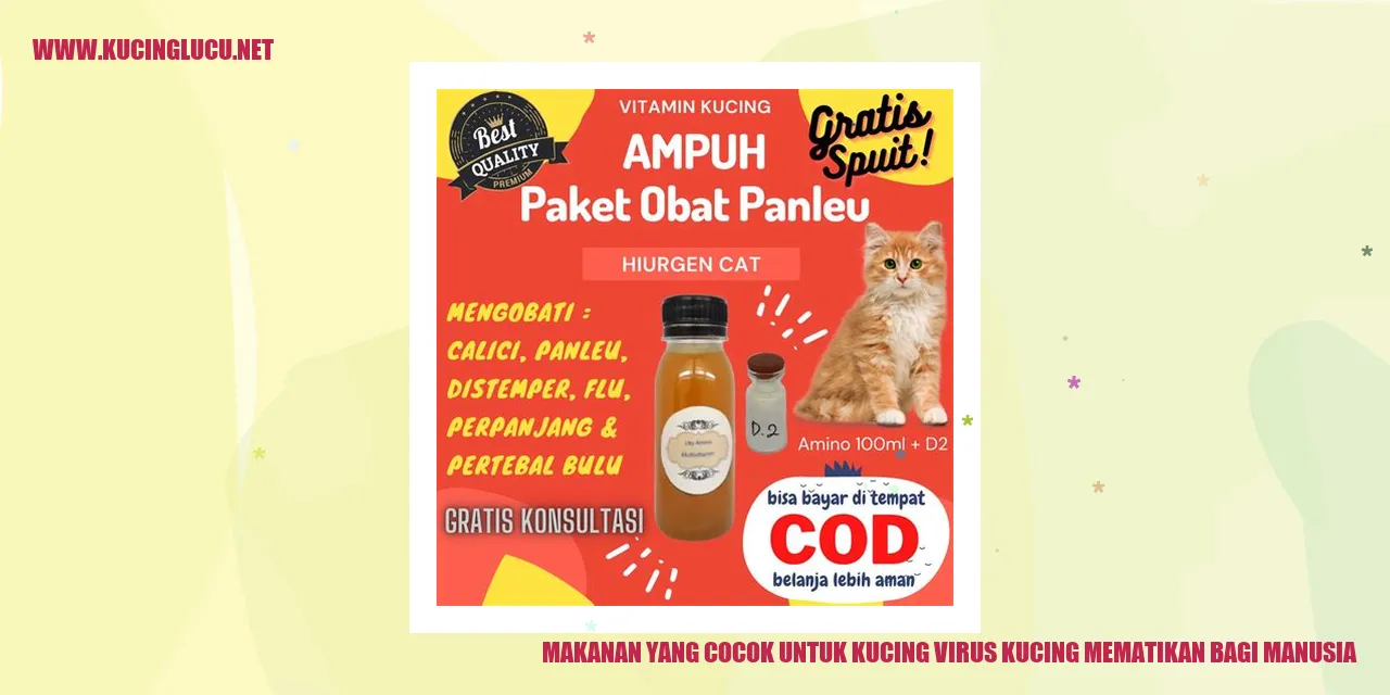 Makanan yang Cocok untuk Kucing