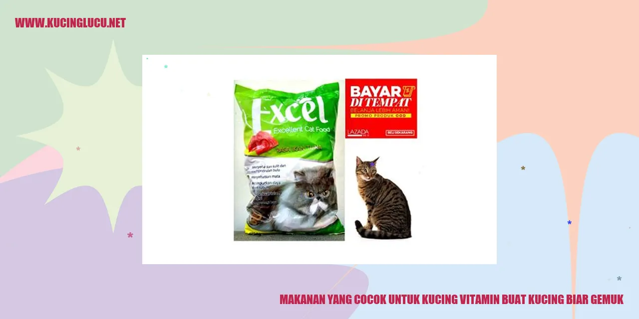 Makanan yang Cocok untuk Kucing
