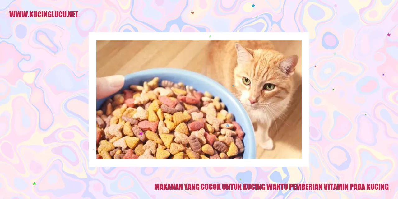 Gambar Kucing Makanan