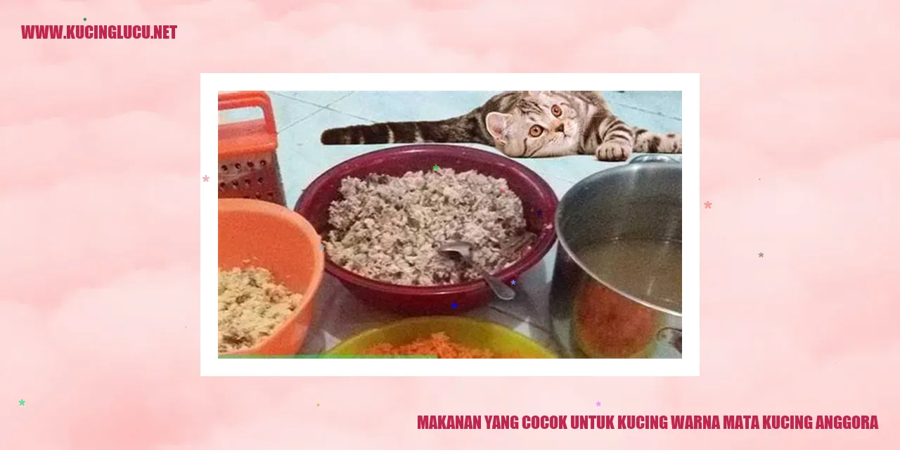 Makanan untuk Kucing Anggora