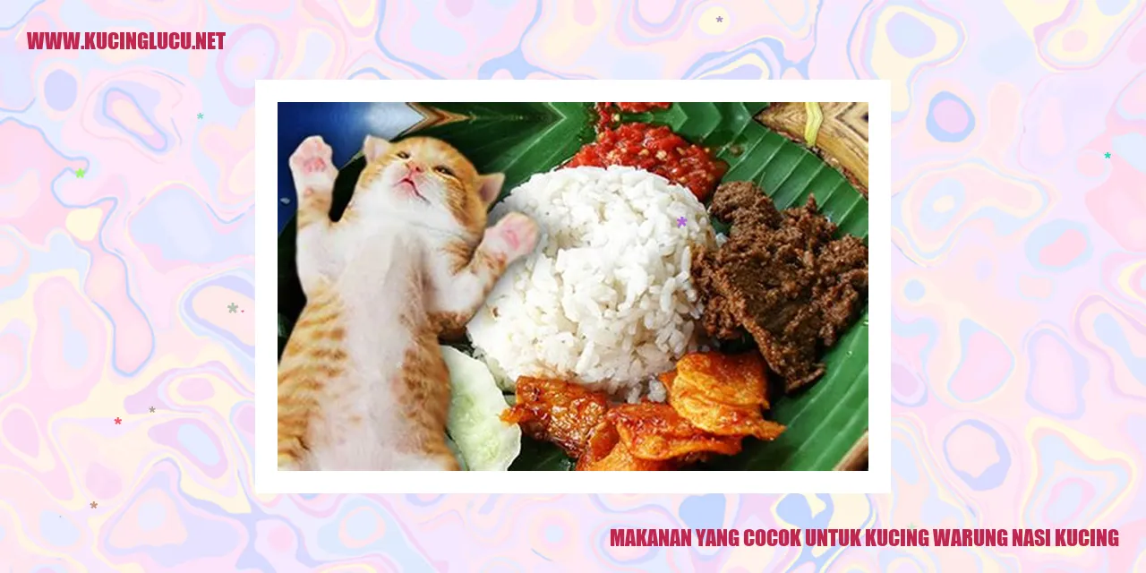 Kucing di Warung Nasi Kucing
