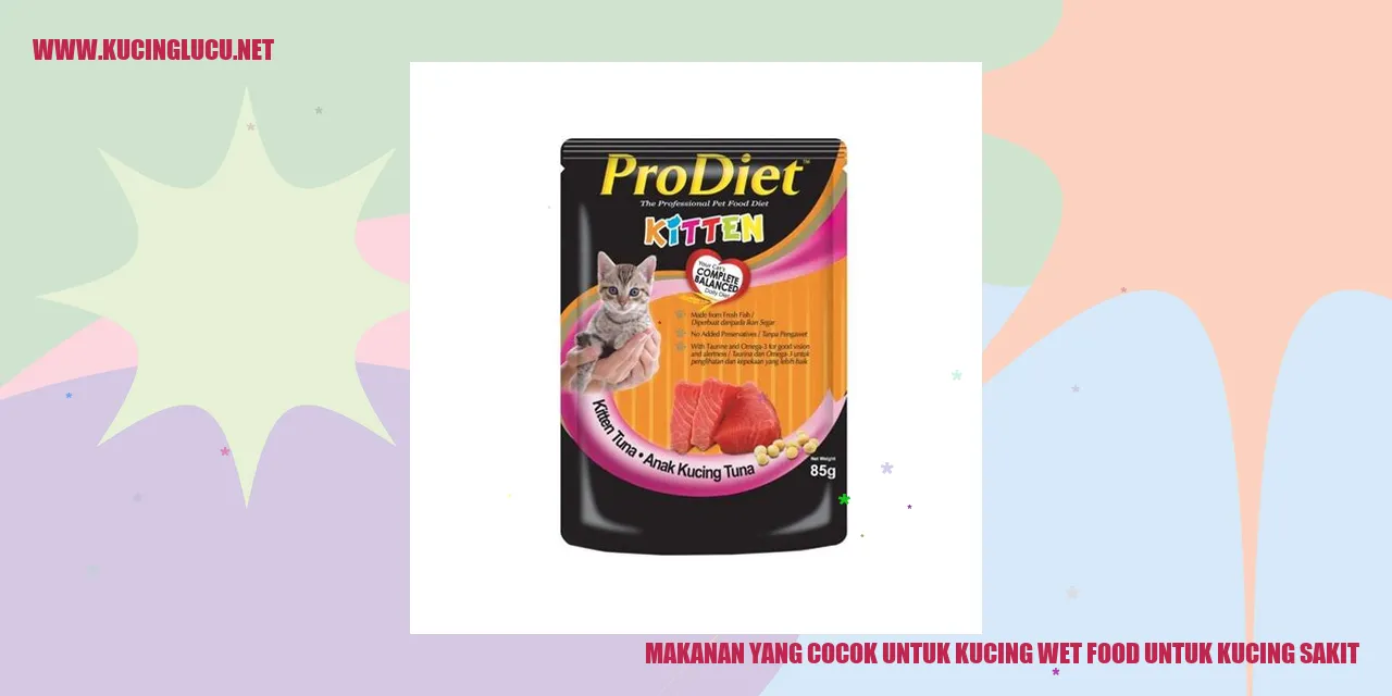 Gambar Makanan untuk Kucing Sakit