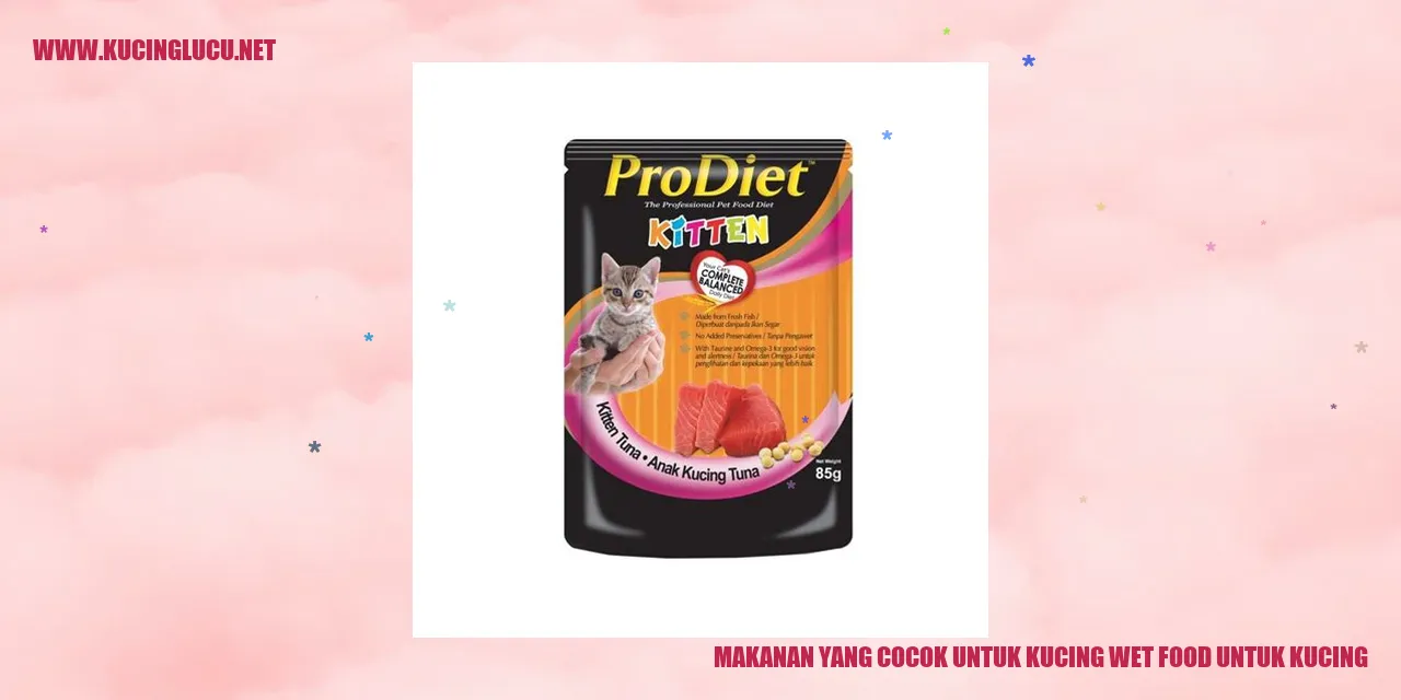 Makanan yang Cocok untuk Kucing Wet Food