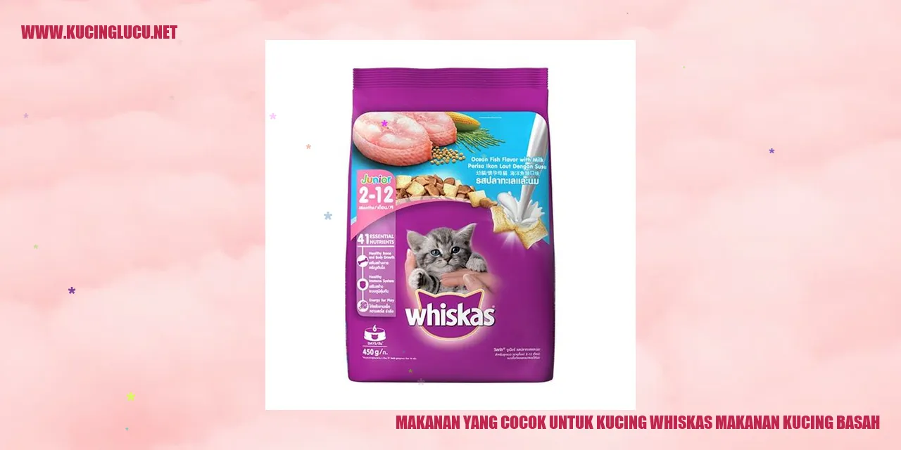 Gambar Whiskas Makanan Kucing Basah