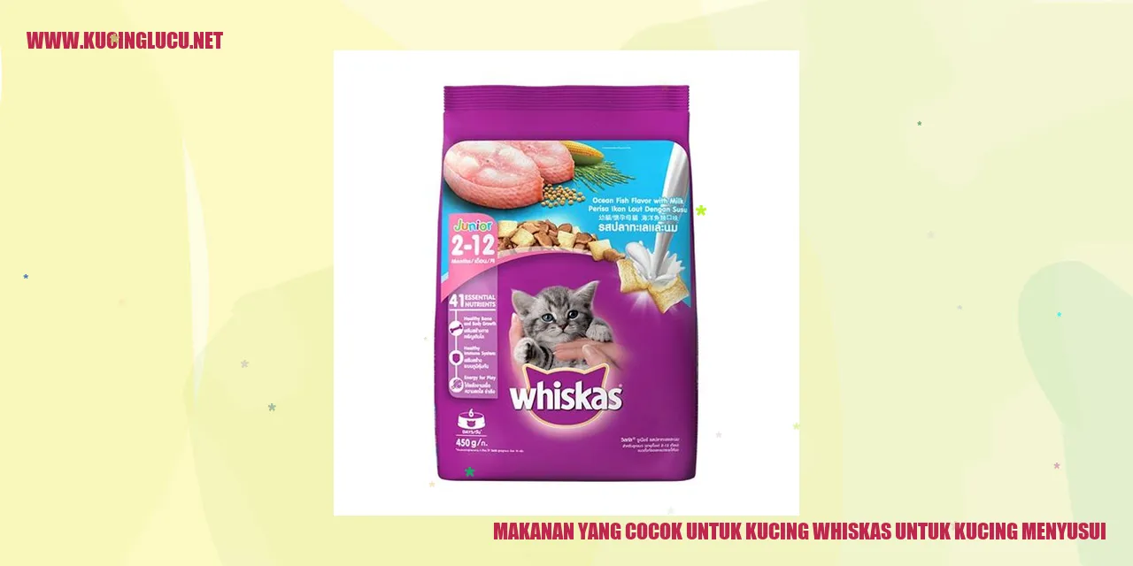 Ilustrasi Makanan Untuk Kucing